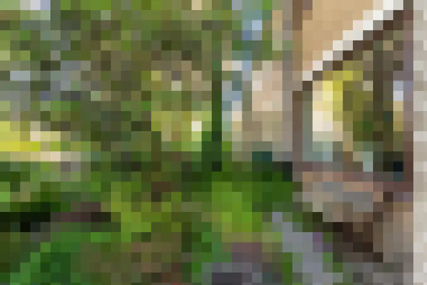 Engelandlaan 187 Haarlem thumbnail 22