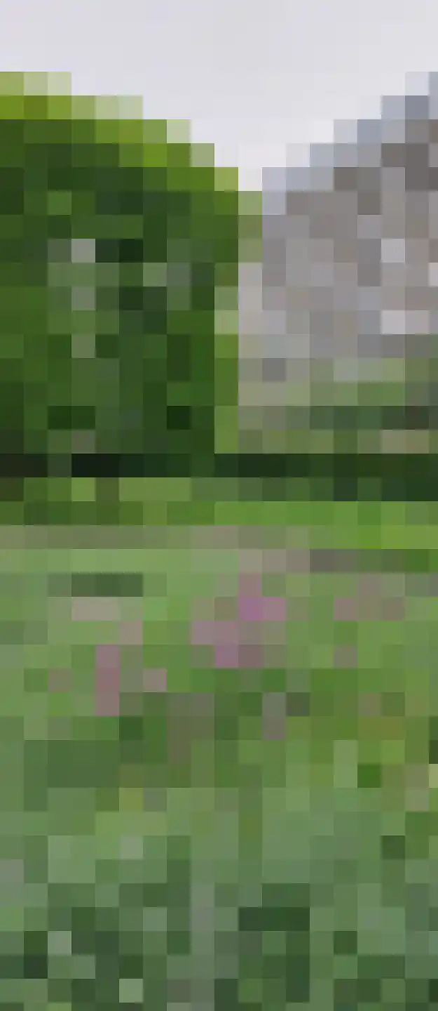 Engelandlaan 210 Haarlem thumbnail 5