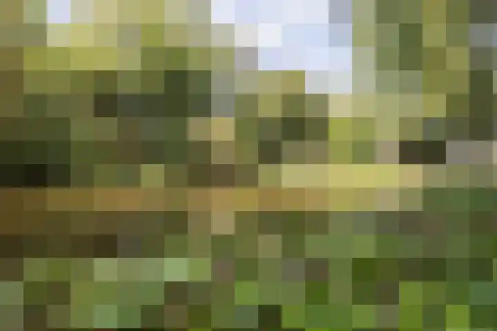 Engelandlaan 224 Haarlem thumbnail 26