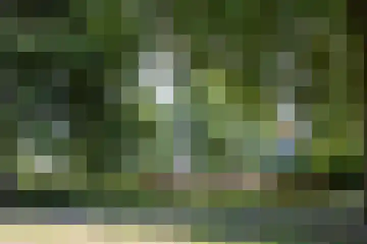 Engelandlaan 224 Haarlem thumbnail 27