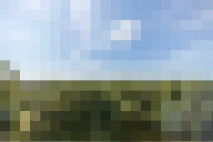 Engelandlaan 224 Haarlem thumbnail 8