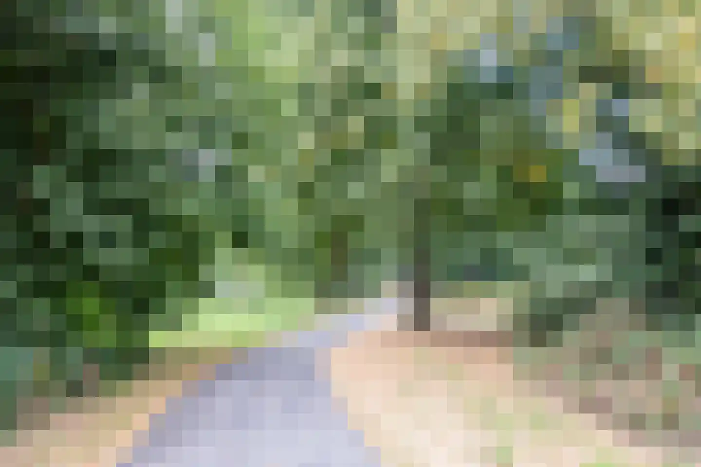 Engelandlaan 246 Haarlem thumbnail 22