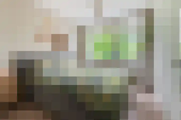 Engelandlaan 268 Haarlem thumbnail 16