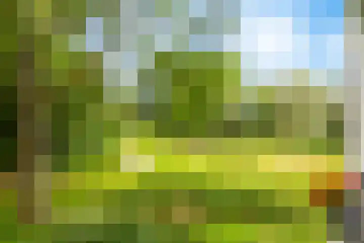 Engelandlaan 268 Haarlem thumbnail 31