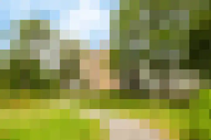 Engelandlaan 268 Haarlem thumbnail 4