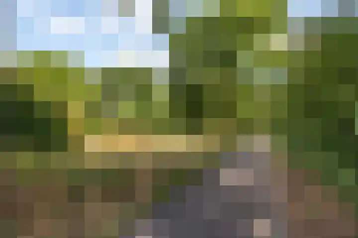 Engelandlaan 284 Haarlem thumbnail 27