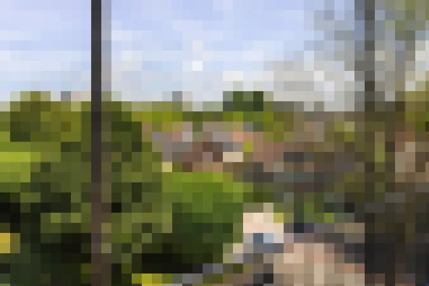 Engelandlaan 294 Haarlem thumbnail 11
