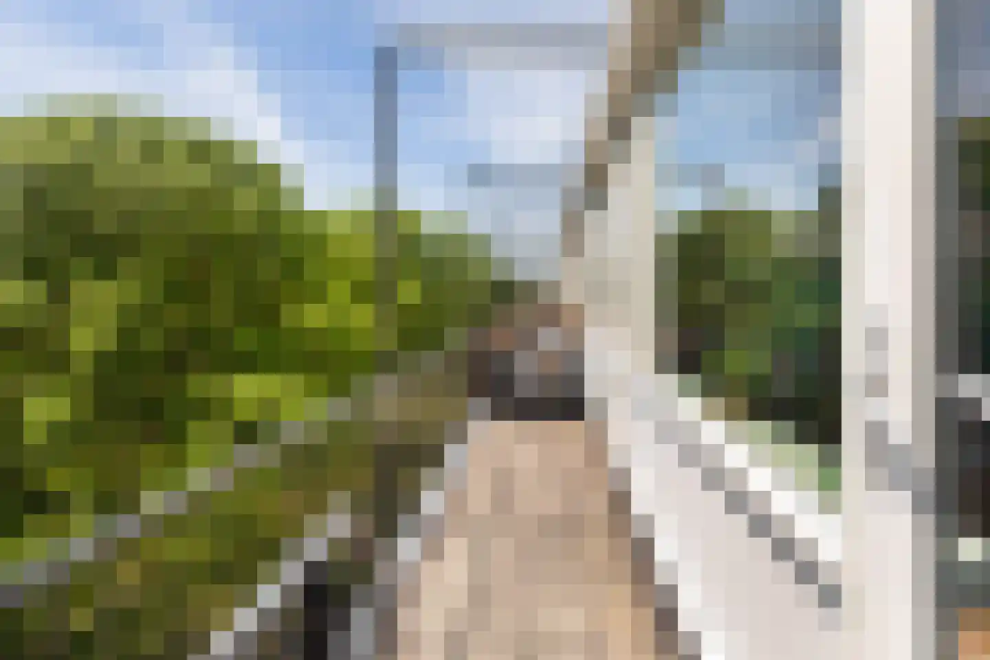 Engelandlaan 294 Haarlem thumbnail 17