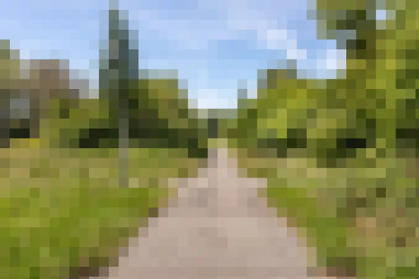 Engelandlaan 294 Haarlem thumbnail 28
