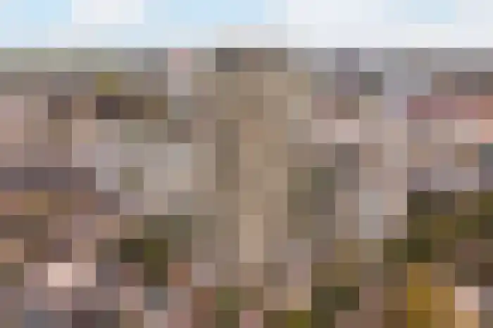 Engelandlaan 300 Zoetermeer thumbnail 7