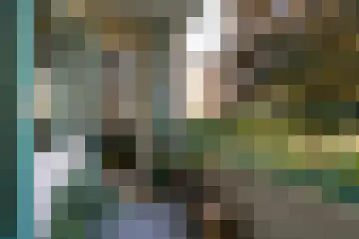 Engelandlaan 304 Haarlem thumbnail 10