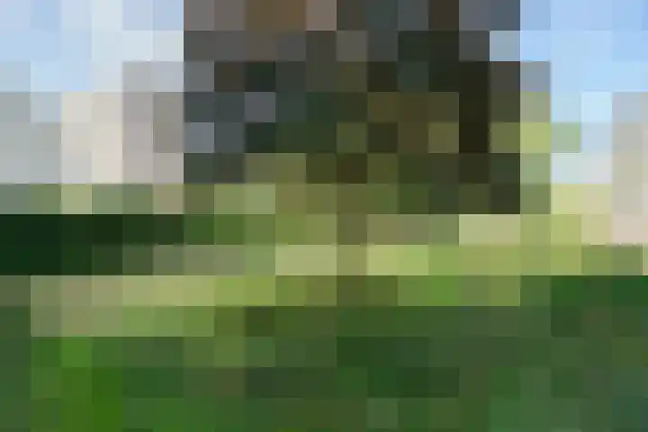 Engelandlaan 304 Haarlem thumbnail 28
