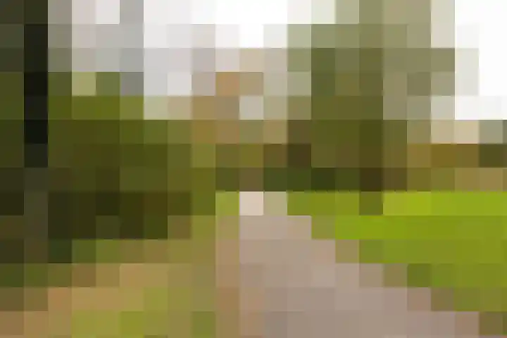 Engelandlaan 406 Haarlem thumbnail 21