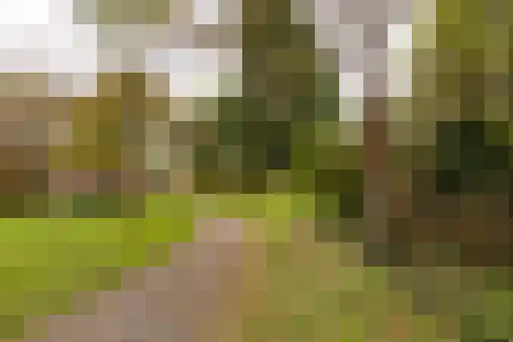 Engelandlaan 406 Haarlem thumbnail 22