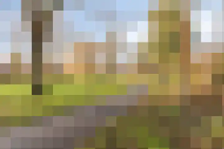 Engelandlaan 408 Haarlem thumbnail 35