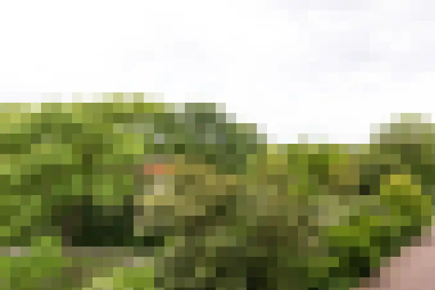Engelandlaan 454 Haarlem thumbnail 10