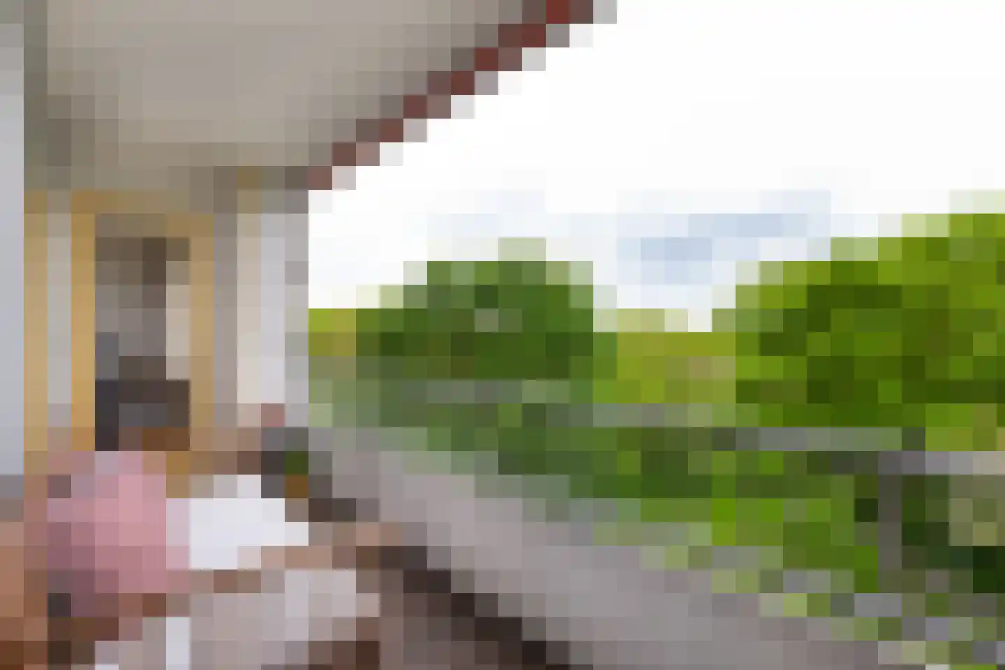 Engelandlaan 454 Haarlem thumbnail 8