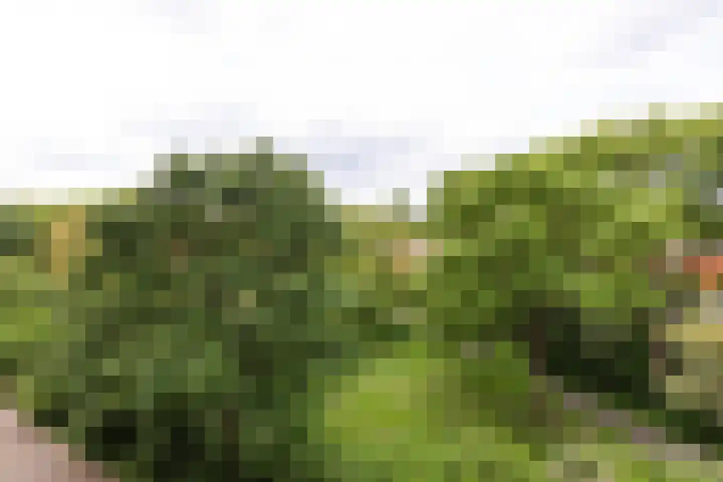 Engelandlaan 454 Haarlem thumbnail 9