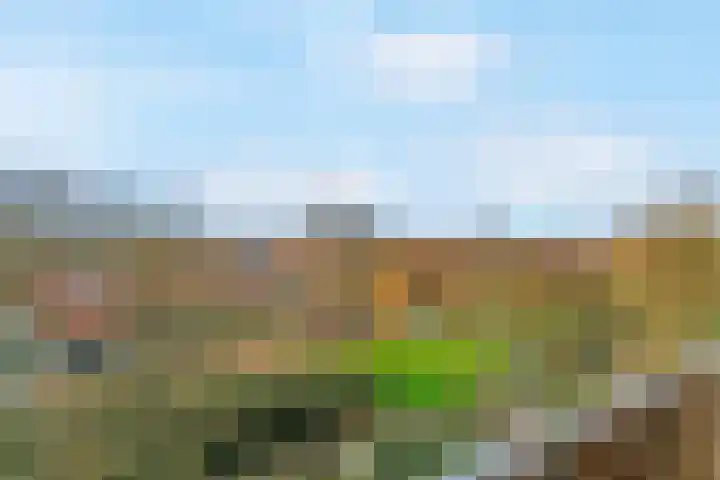 Engelandlaan 474 Haarlem thumbnail 8