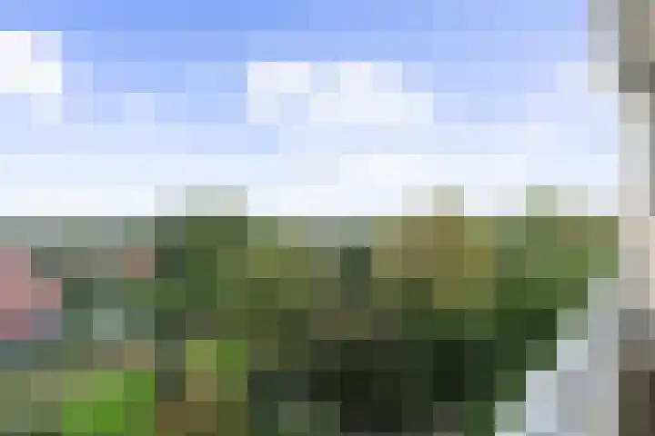Engelandlaan 510 Haarlem thumbnail 8