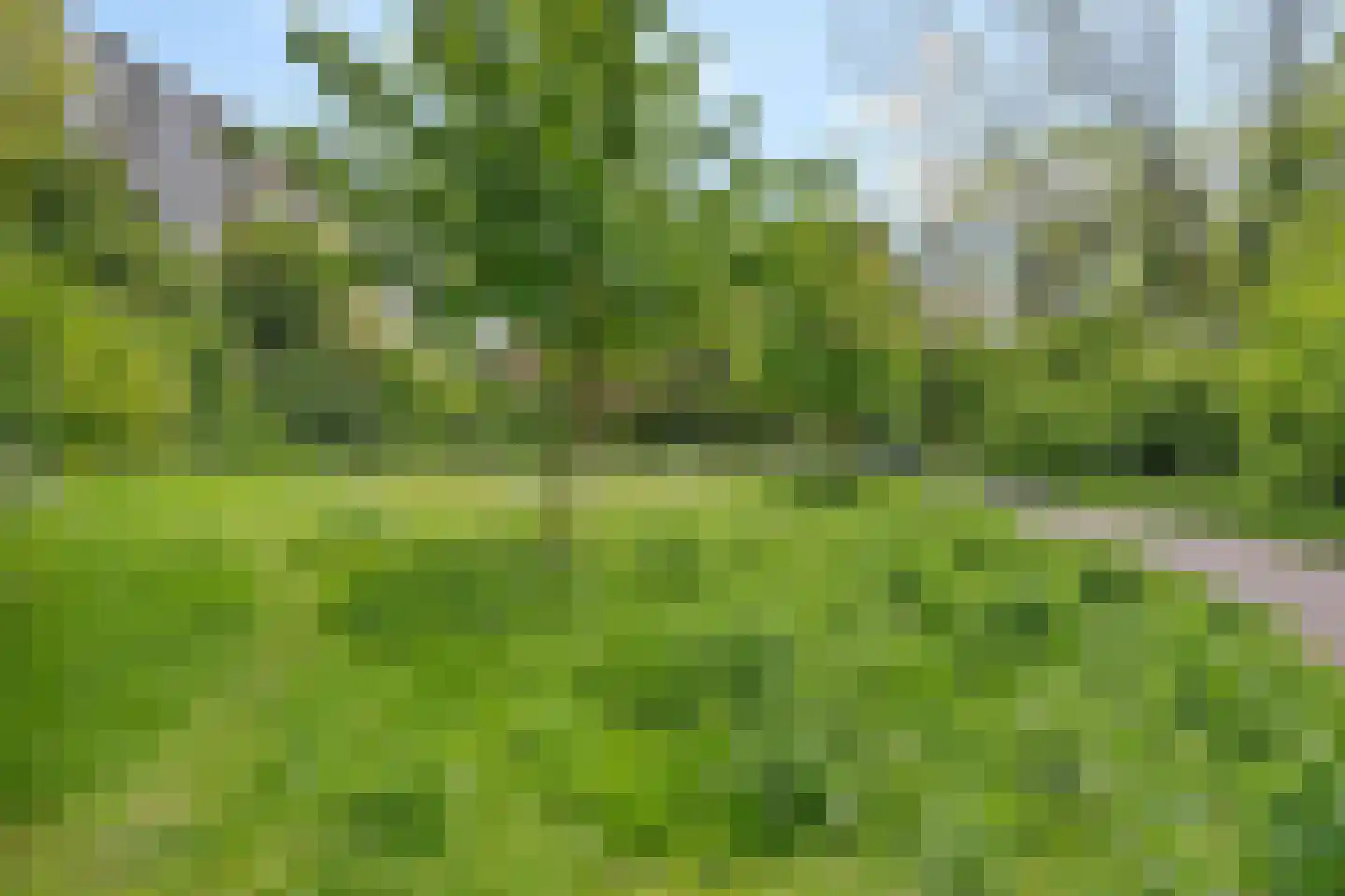 Engelandlaan 534 Haarlem thumbnail 30