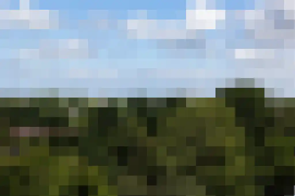 Engelandlaan 556 Haarlem thumbnail 11