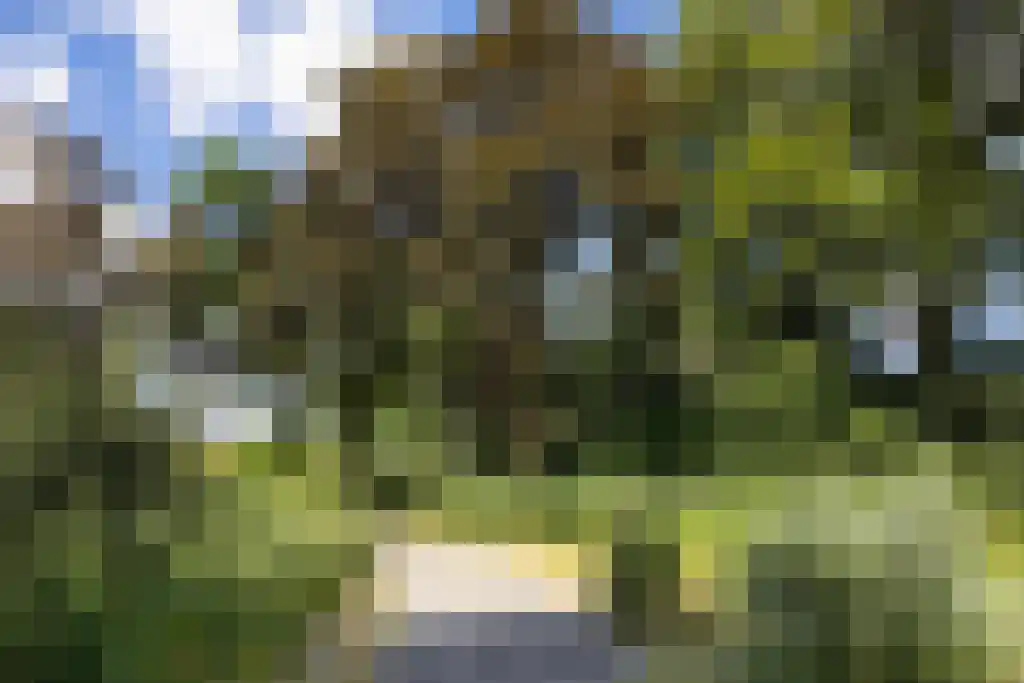 Engelandlaan 556 Haarlem thumbnail 28