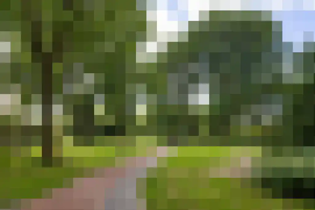 Engelandlaan 556 Haarlem thumbnail 29
