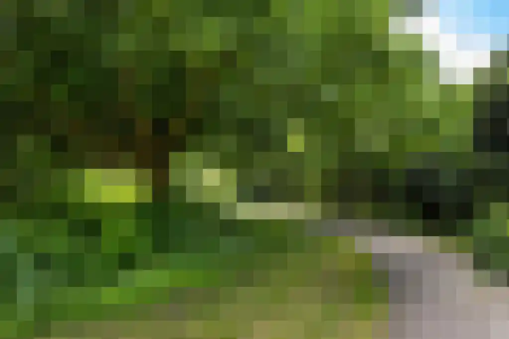 Engelandlaan 556 Haarlem thumbnail 30