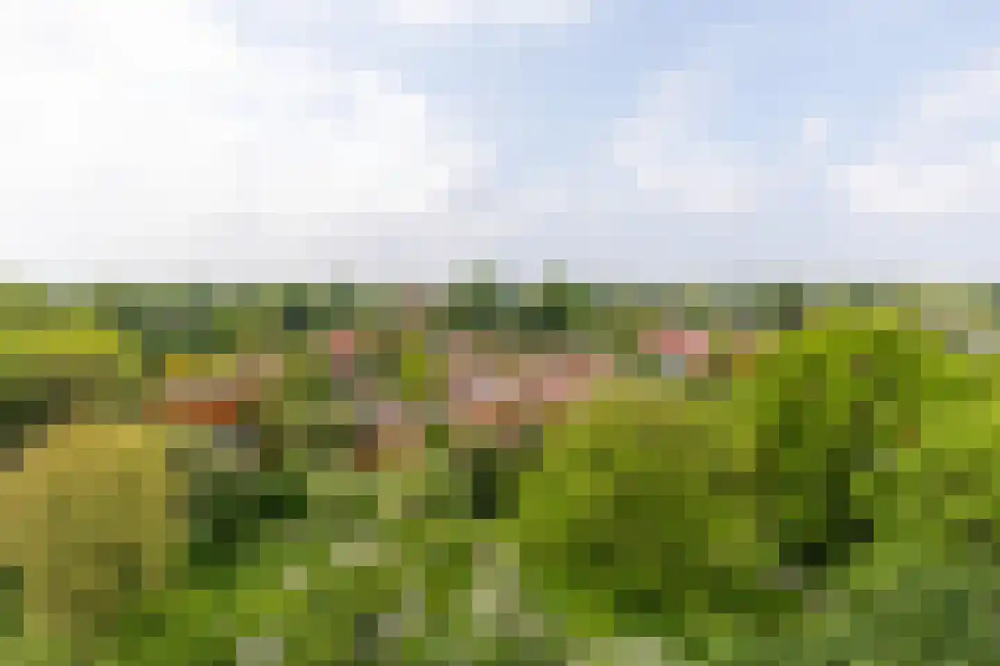 Engelandlaan 560 Haarlem thumbnail 15