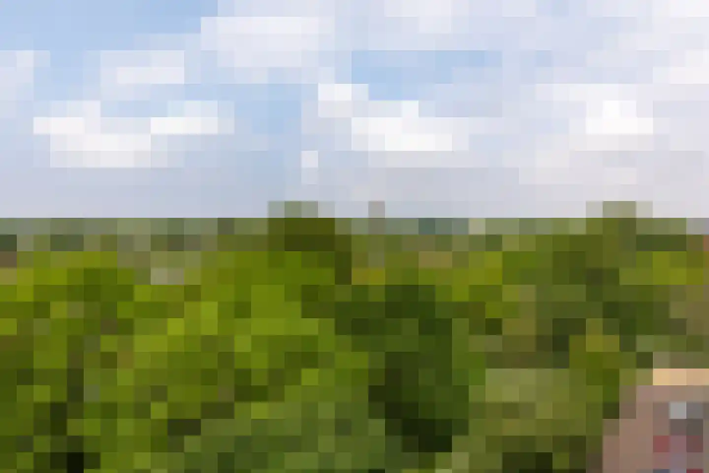 Engelandlaan 560 Haarlem thumbnail 16