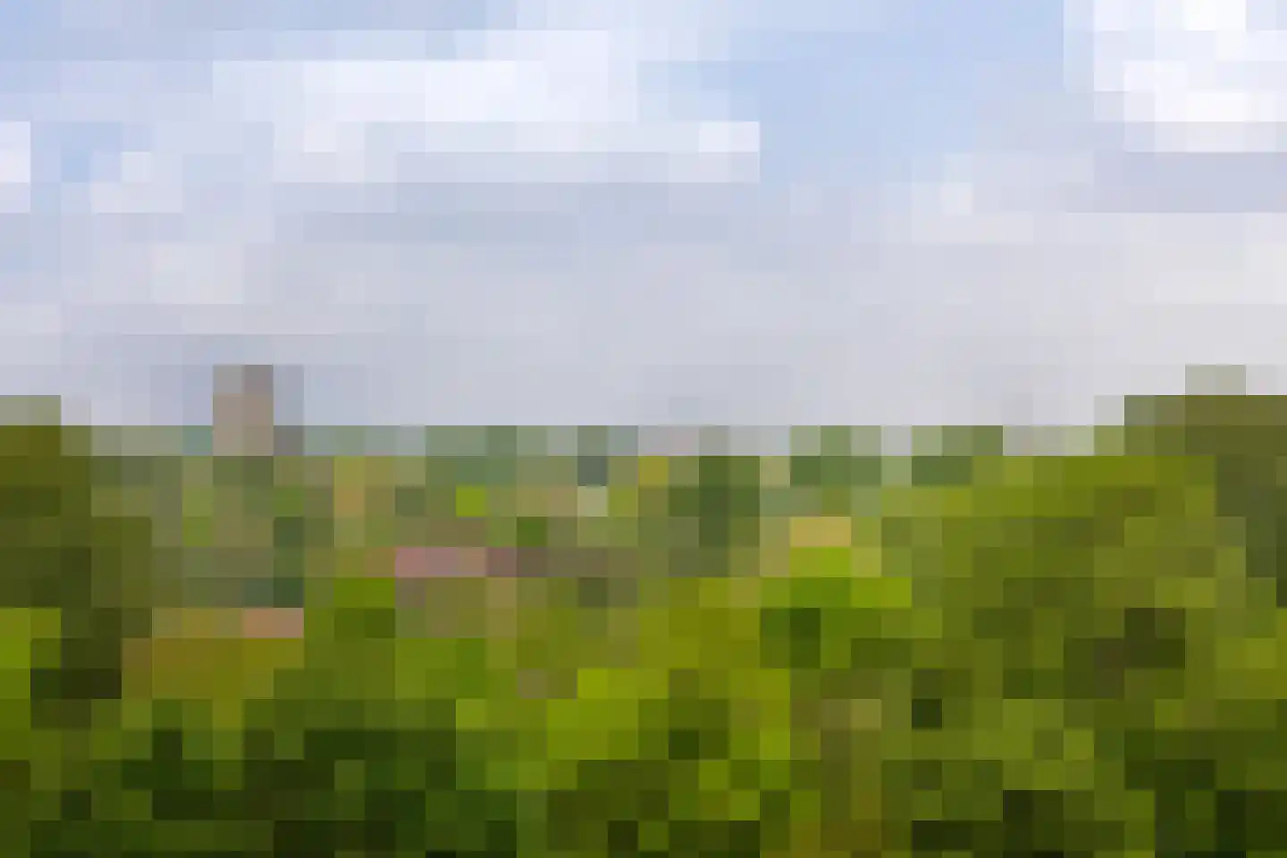 Engelandlaan 560 Haarlem thumbnail 17