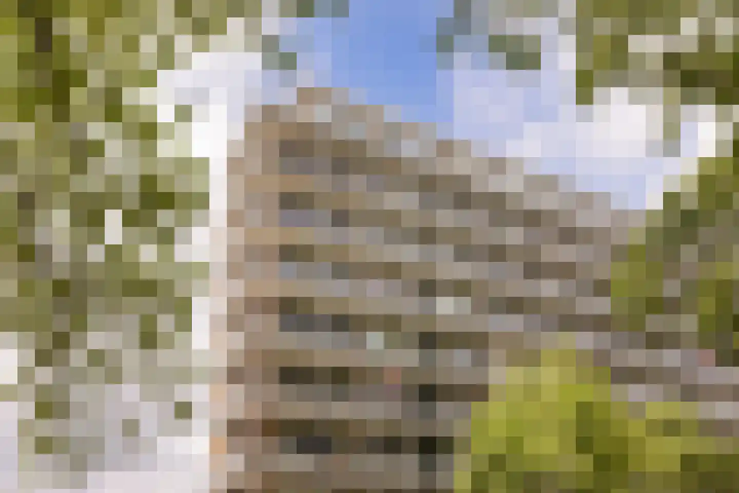 Engelandlaan 560 Haarlem thumbnail 21