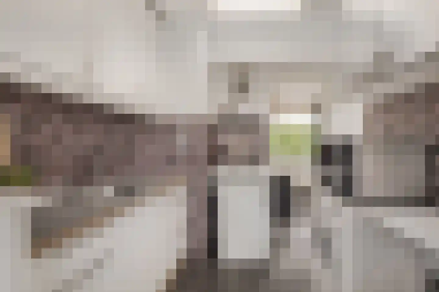 Engelandlaan 560 Haarlem thumbnail 8