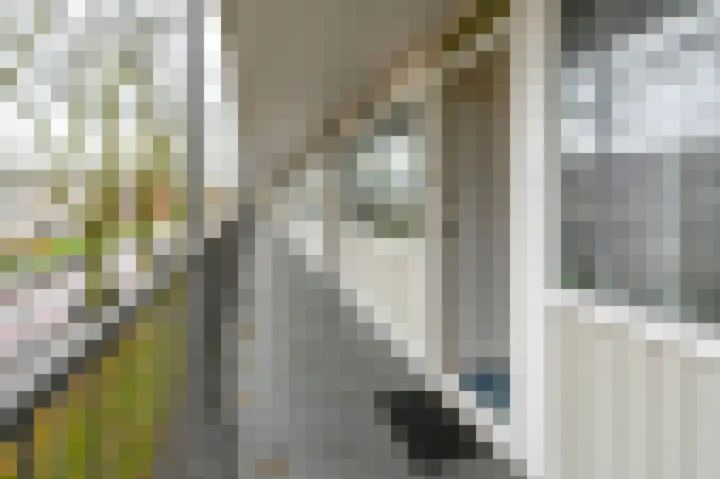 Engelandlaan 584 Haarlem thumbnail 20