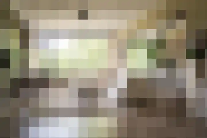 Engelandlaan 586 Haarlem thumbnail 11