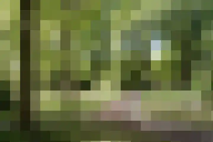 Engelandlaan 586 Haarlem thumbnail 35