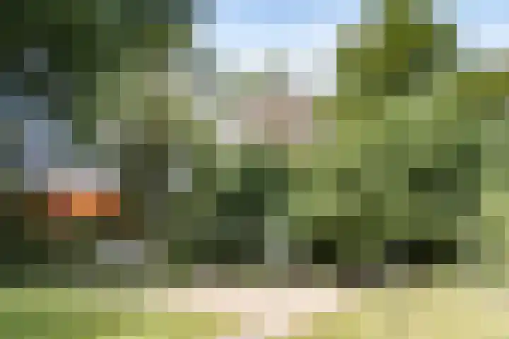 Engelandlaan 586 Haarlem thumbnail 36