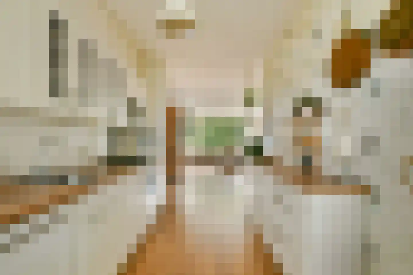 Engelandlaan 598 Haarlem thumbnail 11