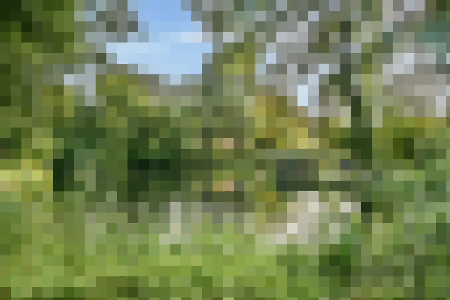 Engelandlaan 598 Haarlem thumbnail 31