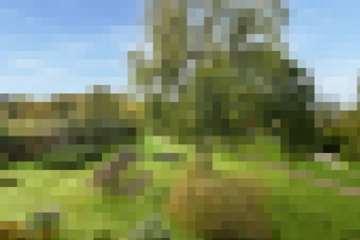 Engelandlaan 598 Haarlem thumbnail 4
