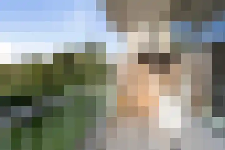 Engelandlaan 612 Haarlem thumbnail 16