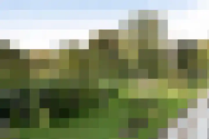 Engelandlaan 612 Haarlem thumbnail 17