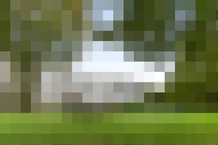 Engelandlaan 612 Haarlem thumbnail 27