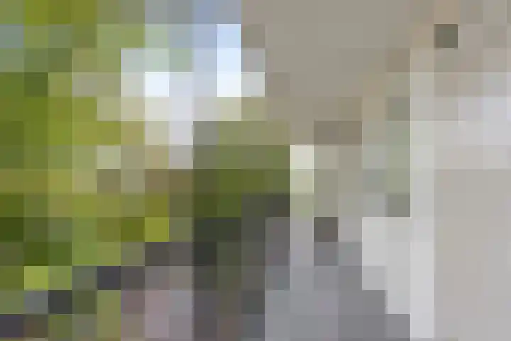 Engelandlaan 612 Haarlem thumbnail 7