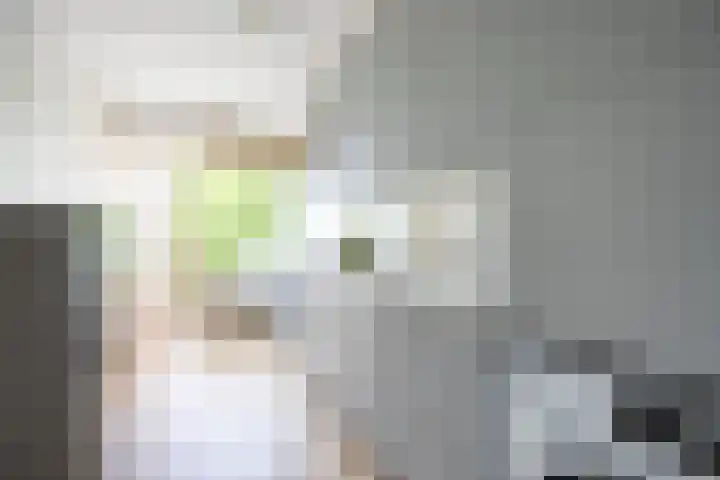 Engelandlaan 618 Haarlem thumbnail 8