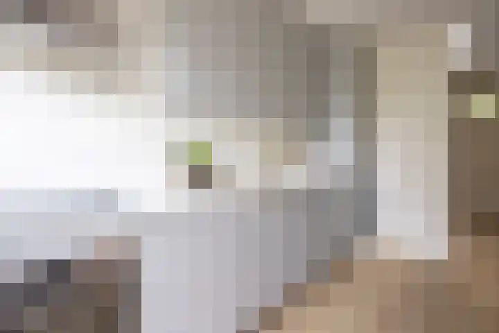 Engelandlaan 618 Haarlem thumbnail 9