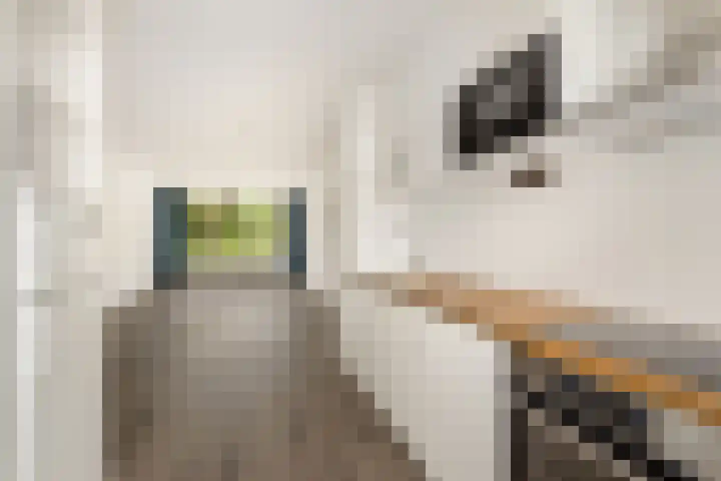 Engelandlaan 666 Haarlem thumbnail 10