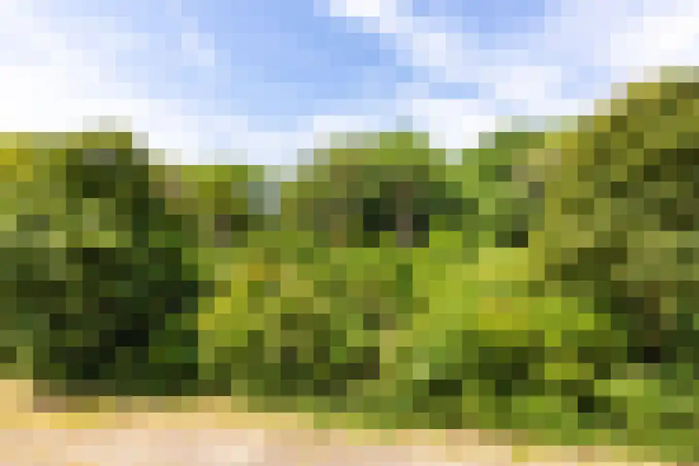 Engelandlaan 666 Haarlem thumbnail 20