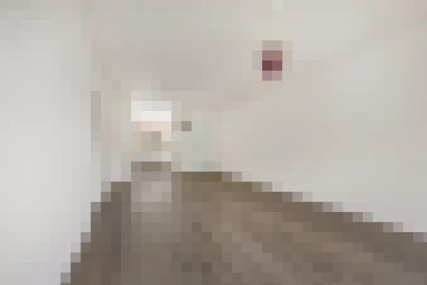 Engelandlaan 666 Haarlem thumbnail 8
